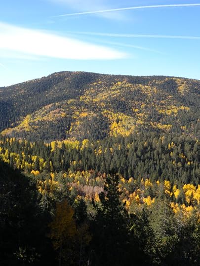 Highway 67, CO via Terry Odell