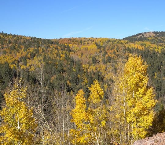 Highway 67, CO via Terry Odell