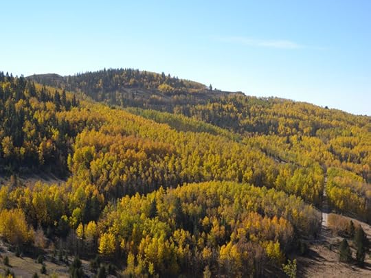 Highway 67, CO via Terry Odell