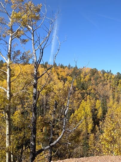 Highway 67, CO via Terry Odell