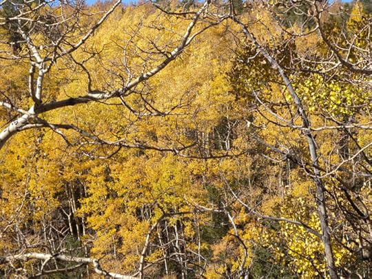 Highway 67, CO via Terry Odell