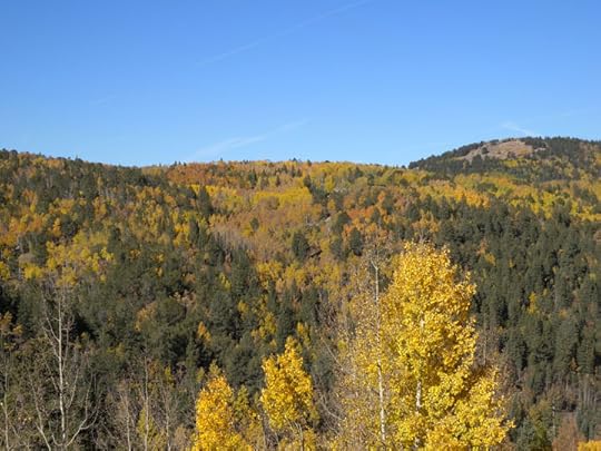 Highway 67, CO via Terry Odell