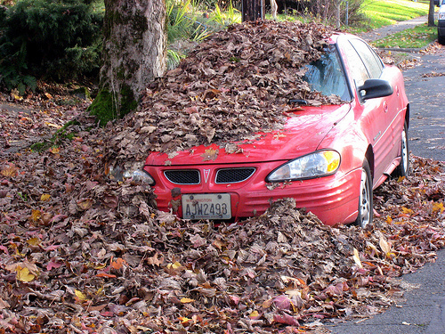 Have rake, will travel? by Bart King