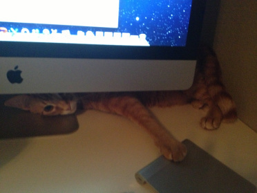 Not distracting AT ALL....