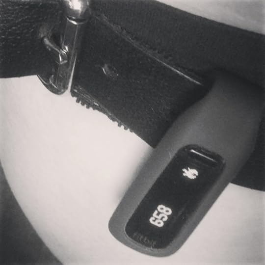 Fitbit wireless pedometer clipped onto strap-on harness