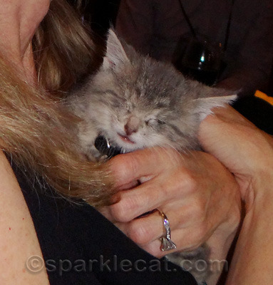 Don't be deceived - she was also quite lively!