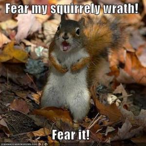 Funny-squirrel