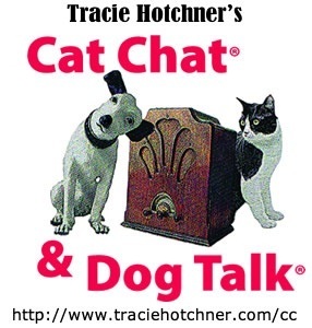 Cat_Chat_Dog_Talk_Radio