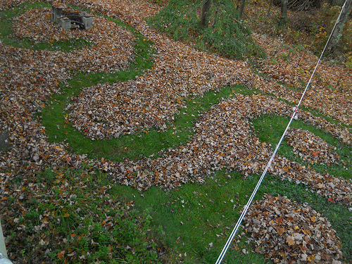 raking leaves