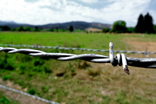 photo walk 8/15/2012