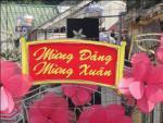 mung dang