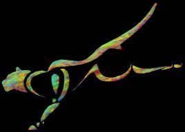 My Monograph as a leaping cat