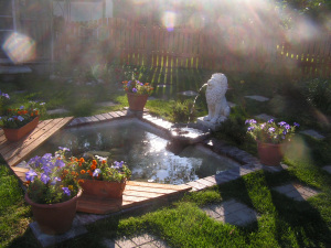 KONICA MINOLTA DIGITAL CAMERA