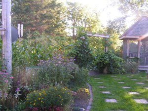 KONICA MINOLTA DIGITAL CAMERA