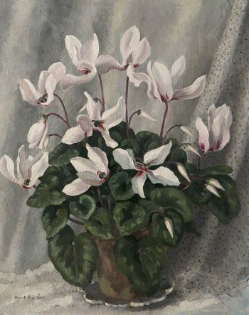 Salford cyclamen argent brierley