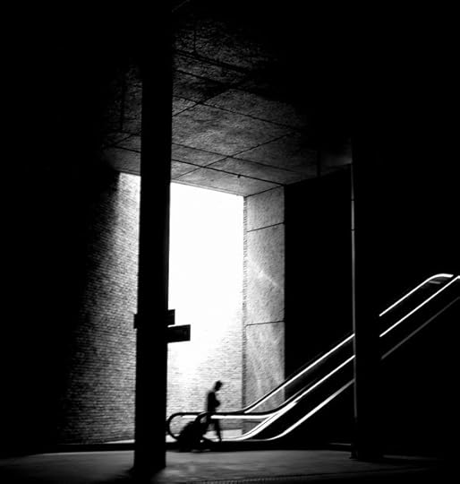 the dystopian traveller