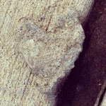 This heart's a permanent feature on the sidewalk outside our house