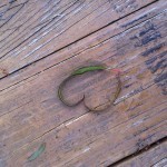 Love on the boardwalk.