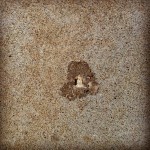 This is from our driveway, so it's called