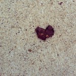 Crushed, but still love.