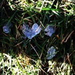 heart in thaw mode