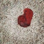 Gum heart right outside PetCo