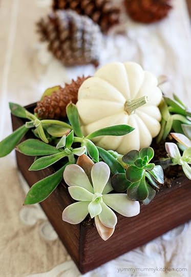 fall succulents