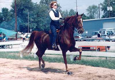 janhorse