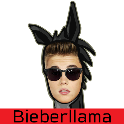 bieberllama