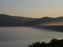 mist illuminated