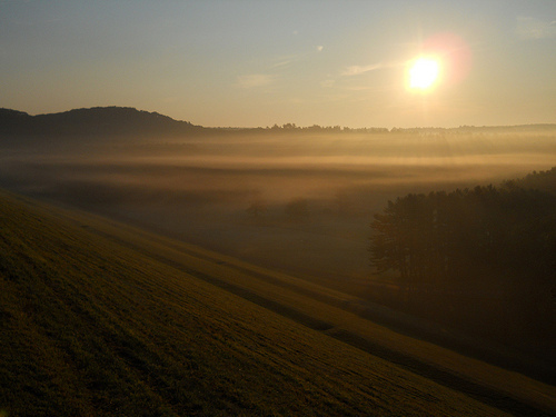 Land of Golden Mist
