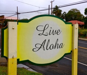 Live Aloha_6566