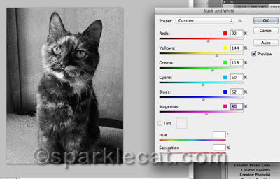My human always messes with the values in Black and White