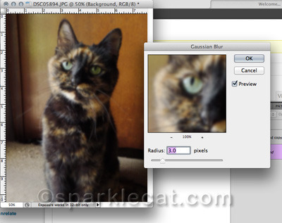 She takes lots of photos that look this way without adding blur!