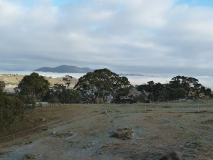P1060968