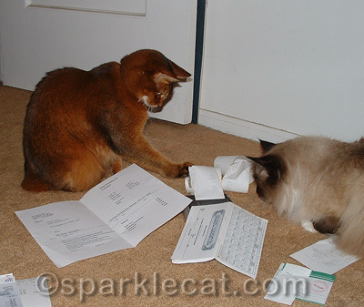 Boodie considers the calculator a spectator sport