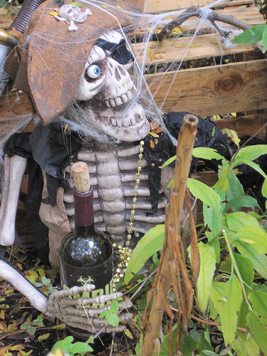 zombie lawn pirates