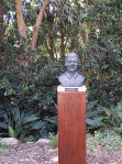 Nelson Mandaela bust in the Botanic gardens Cape Town