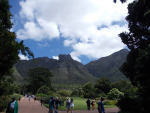 Table Mountain from the Botanic Gardens.