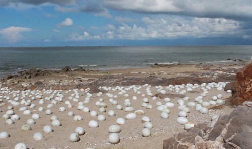 Shi-Shaoping-installation2