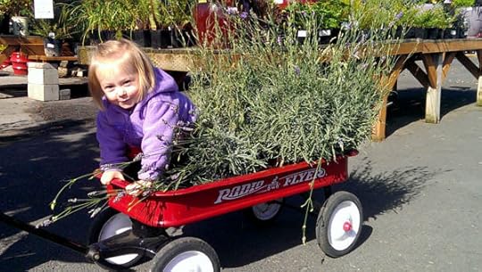 lavender-helper
