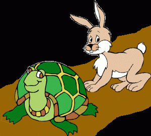 tortoise and hare