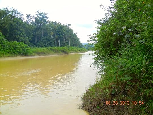 TURBID OFFIN RIVER AT DUNKWA-ON-OFFIN, A MAJOR MINING AREA (Photo Kwei Quartey)