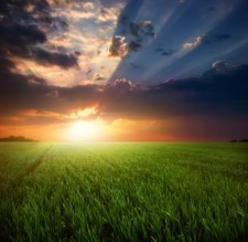 Post image for Wake Up To Good News