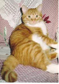 Tobey #2 001
