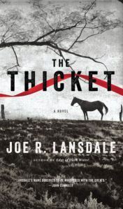 The-Thicket