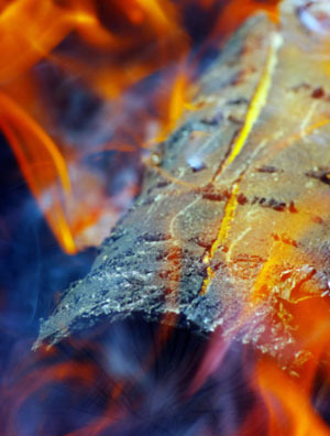 Ilchi-Lee_fuel_300w_20131015_newsletter