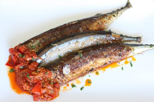 Mackerel2