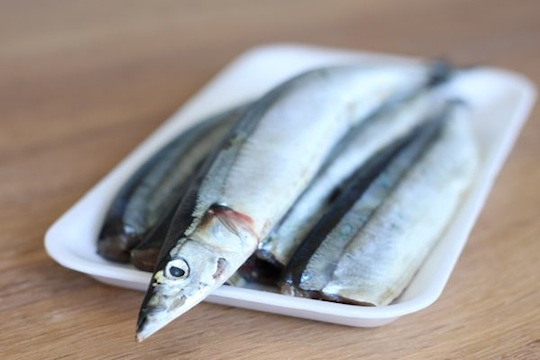Raw Mackerel
