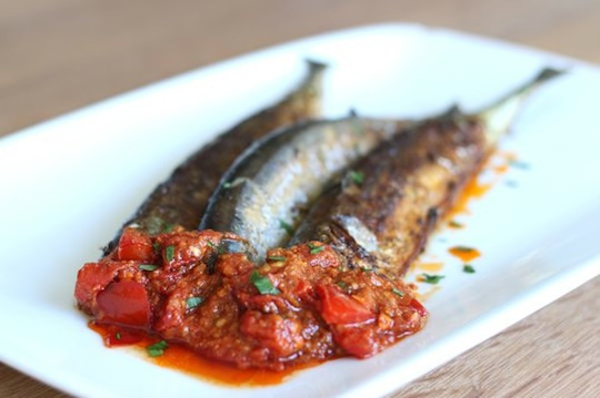 Mackerel1